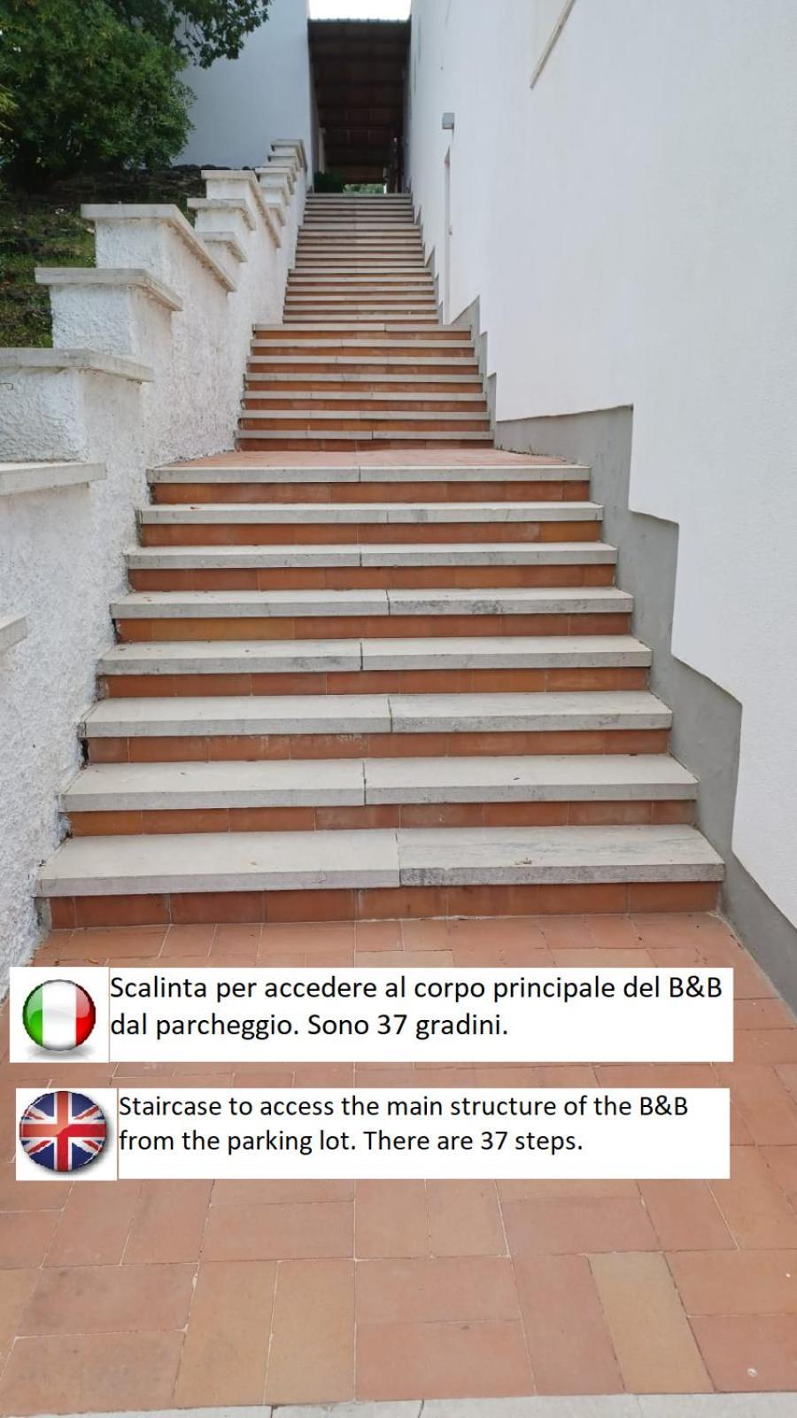 B&B Casabianca Palinuro Kültér fotó